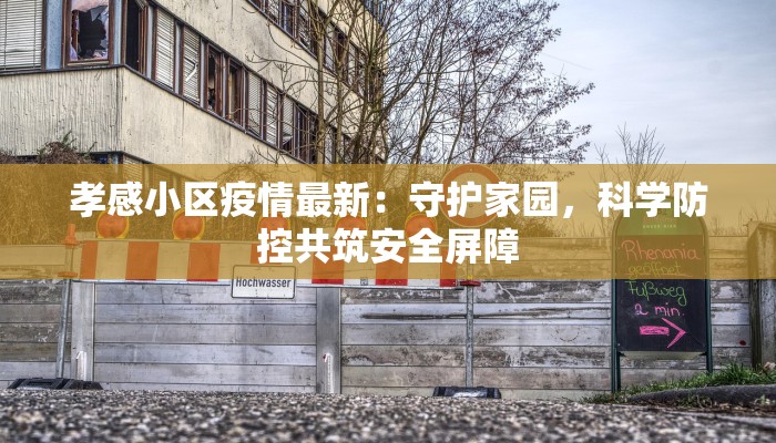 孝感小区疫情最新：守护家园，科学防控共筑安全屏障